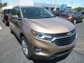2019 Sandy Ridge Metallic Chevrolet Equinox LS  photo #6