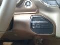 Mountain Brown/Light Frost Beige Controls Photo for 2019 Ram 3500 #133672570