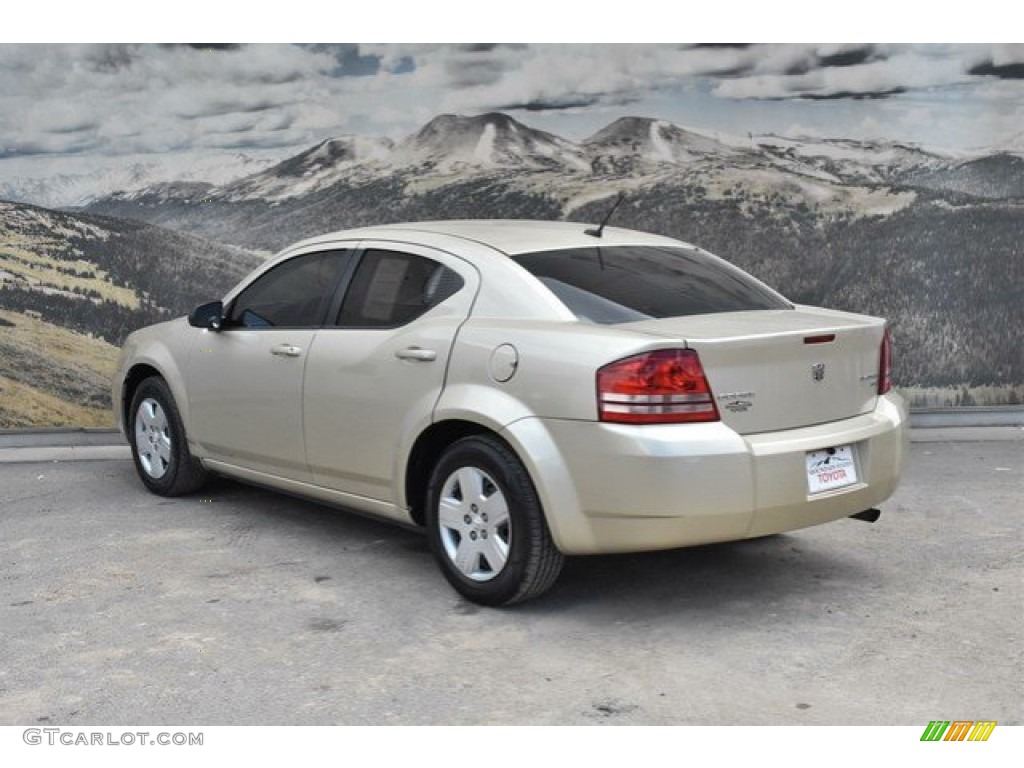 2010 Avenger SXT - White Gold / Dark Slate Gray photo #7