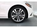 Polar White - C 300 Sedan Photo No. 9