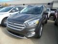 Magnetic 2019 Ford Escape SEL Exterior