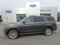 Magnetic Metallic 2019 Ford Expedition Limited 4x4