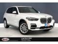 Alpine White - X5 xDrive40i Photo No. 1