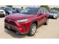 Ruby Flare Pearl - RAV4 LE Photo No. 1