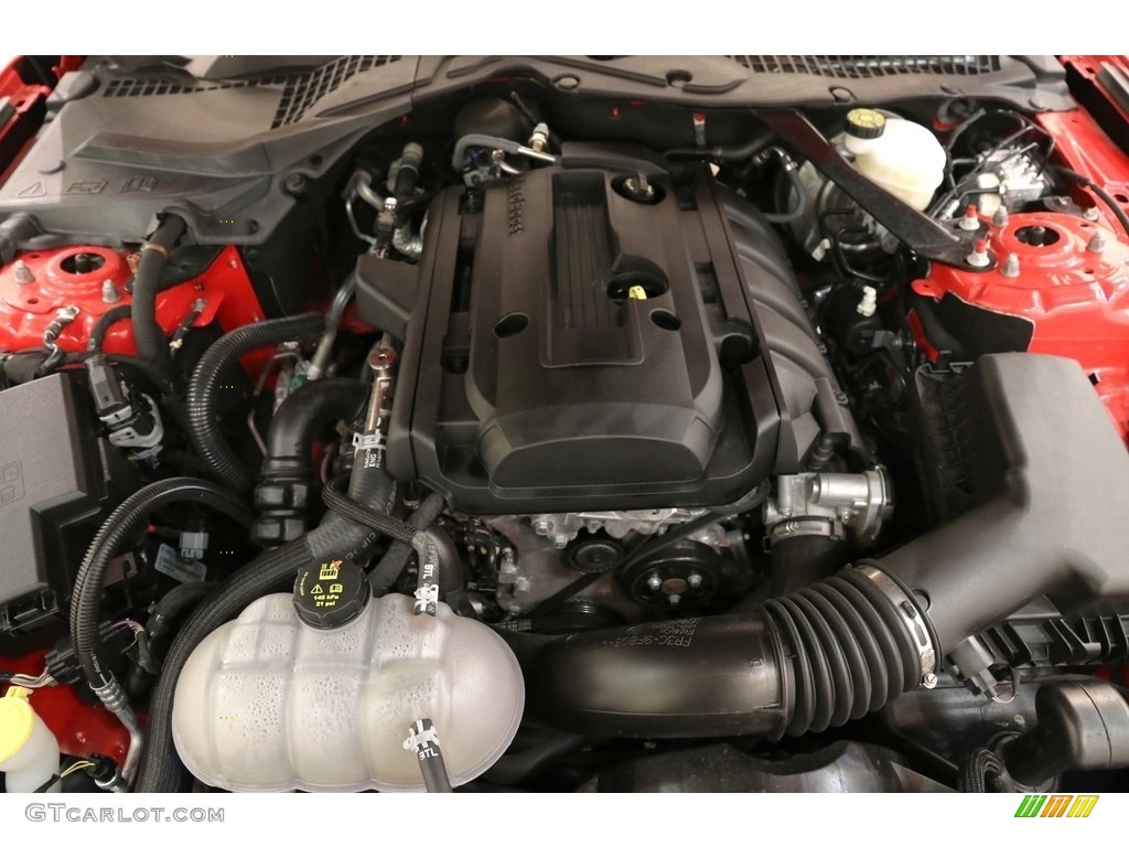 2019 Mustang EcoBoost Premium Convertible - Race Red / Ebony photo #20