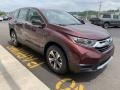 2019 Basque Red Pearl II Honda CR-V LX AWD  photo #4