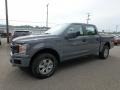 2019 Abyss Gray Ford F150 XL SuperCrew 4x4  photo #6