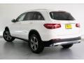 Polar White - GLC 300 Photo No. 2