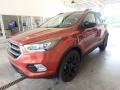 2019 Sedona Orange Ford Escape SE 4WD  photo #5