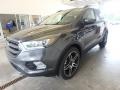 2019 Magnetic Ford Escape SEL 4WD  photo #5