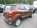 Canyon Ridge Metallic - EcoSport SE 4WD Photo No. 2