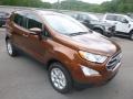 Canyon Ridge Metallic - EcoSport SE 4WD Photo No. 3