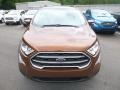 Canyon Ridge Metallic - EcoSport SE 4WD Photo No. 4