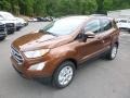 Canyon Ridge Metallic - EcoSport SE 4WD Photo No. 5