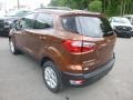 Canyon Ridge Metallic - EcoSport SE 4WD Photo No. 6