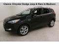 Tuxedo Black 2014 Ford Escape Titanium 2.0L EcoBoost