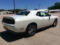 White Knuckle - Challenger SXT AWD Photo No. 5