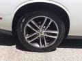 White Knuckle - Challenger SXT AWD Photo No. 10
