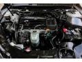 Bellanova White Pearl - TLX 2.4 Photo No. 27
