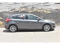 Magnetic - Focus SE Hatch Photo No. 2
