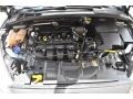 Magnetic - Focus SE Hatch Photo No. 28