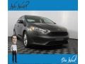 Magnetic - Focus SE Sedan Photo No. 1