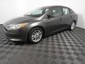 Magnetic - Focus SE Sedan Photo No. 7