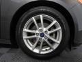 Magnetic - Focus SE Sedan Photo No. 16