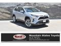 2019 Silver Sky Metallic Toyota RAV4 XLE AWD  photo #1