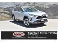 2019 Silver Sky Metallic Toyota RAV4 XLE AWD  photo #1