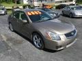Pebble Beach Metallic - Maxima 3.5 SE Photo No. 4
