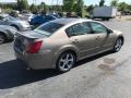 Pebble Beach Metallic - Maxima 3.5 SE Photo No. 5