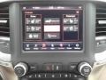 Mountain Brown/Light Frost Beige Controls Photo for 2019 Ram 3500 #133826471