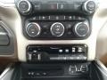 Mountain Brown/Light Frost Beige Controls Photo for 2019 Ram 3500 #133826525