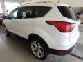 2019 White Platinum Ford Escape Titanium 4WD  photo #4