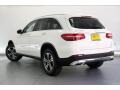 Polar White - GLC 300 Photo No. 2