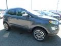 Smoke Metallic - EcoSport Titanium 4WD Photo No. 9