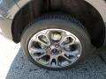 Smoke Metallic - EcoSport Titanium 4WD Photo No. 10