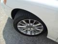 Ice White - S60 2.5T Photo No. 14