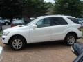 Alabaster White - ML 350 4Matic Photo No. 1
