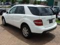 Alabaster White - ML 350 4Matic Photo No. 6