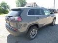 Sting-Gray - Cherokee Latitude Plus 4x4 Photo No. 5