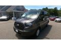 Magnetic - Transit Passenger Wagon XL 150 LR Photo No. 3