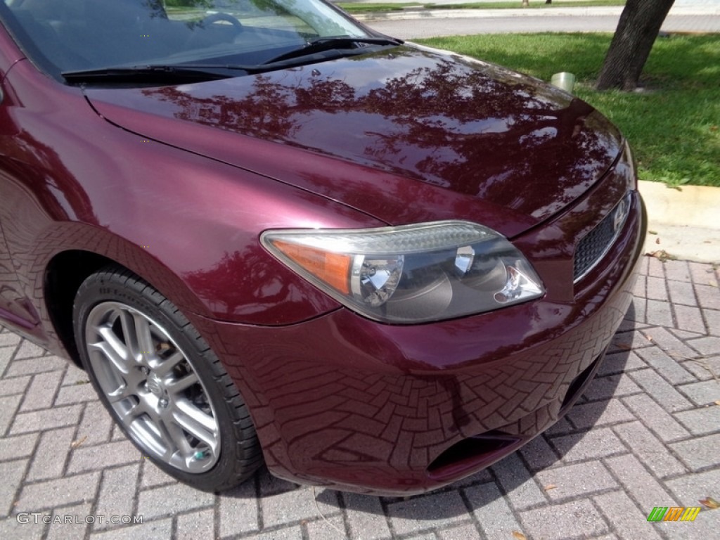 2006 tC  - Black Cherry Pearl / Dark Charcoal photo #24
