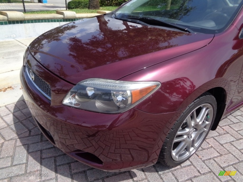 2006 tC  - Black Cherry Pearl / Dark Charcoal photo #51