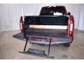 Ruby Red - F250 Super Duty Platinum Crew Cab 4x4 Photo No. 10