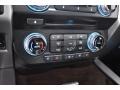 Ruby Red - F250 Super Duty Platinum Crew Cab 4x4 Photo No. 18