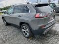 Sting-Gray - Cherokee Limited 4x4 Photo No. 4