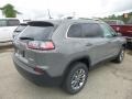 Sting-Gray - Cherokee Latitude Plus 4x4 Photo No. 5