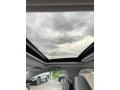 Light Gray Sunroof Photo for 2019 Toyota RAV4 #133915583
